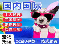 温州机场货运国际宠物托运 【国